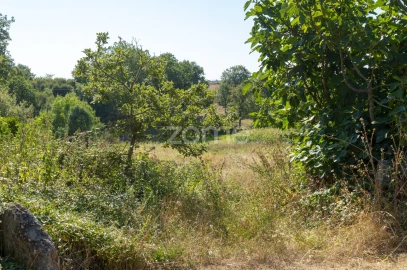 Terreno para Venda em Codesseiro