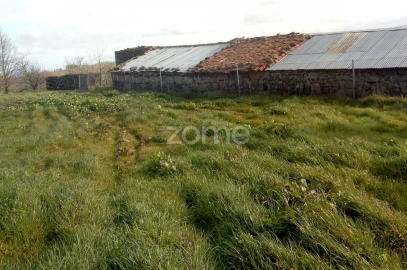 Terreno para Venda em Codesseiro