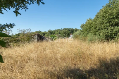 Terreno para Venda em Codesseiro