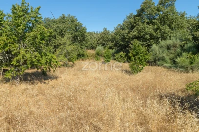 Terreno para Venda em Codesseiro