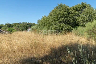 Terreno para Venda em Codesseiro
