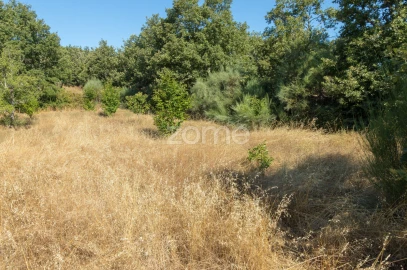 Terreno para Venda em Codesseiro