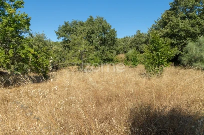 Terreno para Venda em Codesseiro