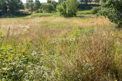 Terreno para Venda em Codesseiro