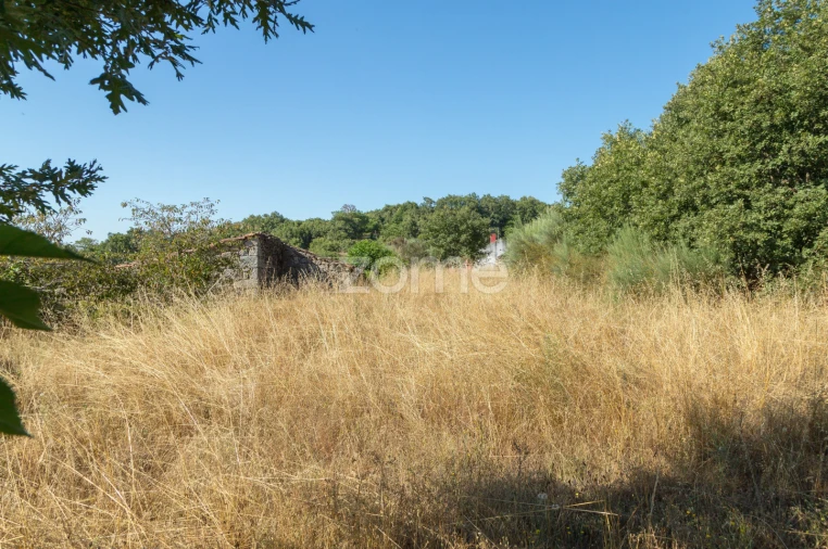 Terreno para Venda em Codesseiro Foto 27