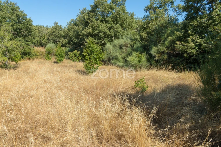 Terreno para Venda em Codesseiro Foto 35