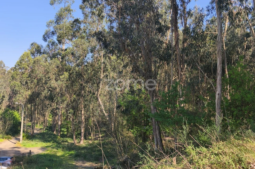 Terreno para Venda em Arnoso (Santa Maria e Santa Eulália) e Sezures Foto 6