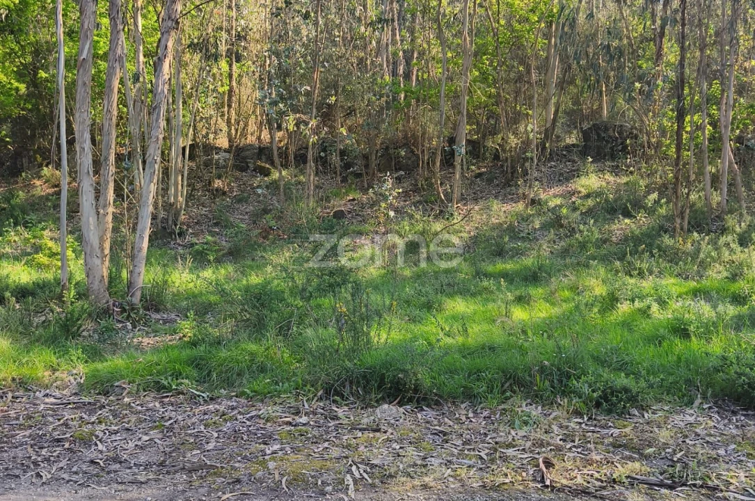 Terreno para Venda em Arnoso (Santa Maria e Santa Eulália) e Sezures Foto 10