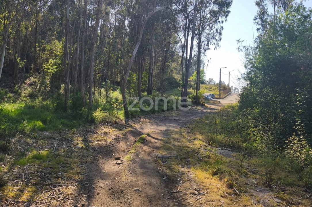 Terreno para Venda em Arnoso (Santa Maria e Santa Eulália) e Sezures Foto 13