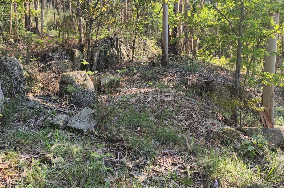 Terreno para Venda em Arnoso (Santa Maria e Santa Eulália) e Sezures Foto 15