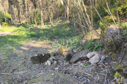 Terreno para Venda em Arnoso (Santa Maria e Santa Eulália) e Sezures