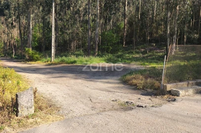 Terreno para Venda em Arnoso (Santa Maria e Santa Eulália) e Sezures