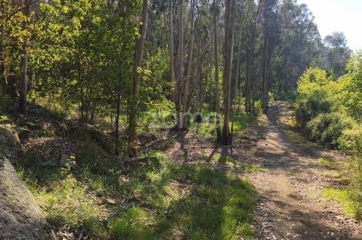Terreno para Venda em Arnoso (Santa Maria e Santa Eulália) e Sezures