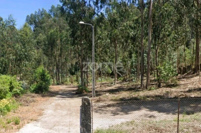 Terreno para Venda em Arnoso (Santa Maria e Santa Eulália) e Sezures