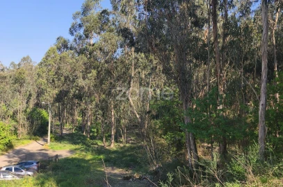 Terreno para Venda em Arnoso (Santa Maria e Santa Eulália) e Sezures