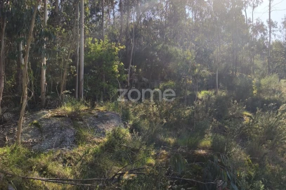 Terreno para Venda em Arnoso (Santa Maria e Santa Eulália) e Sezures