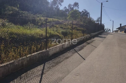 Terreno para Venda em Arnoso (Santa Maria e Santa Eulália) e Sezures