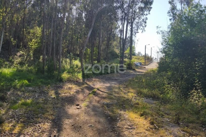 Terreno para Venda em Arnoso (Santa Maria e Santa Eulália) e Sezures