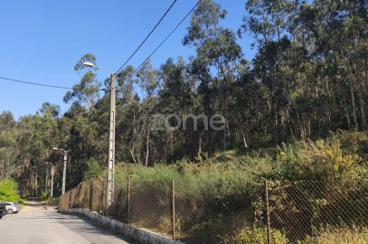 Terreno para Venda em Arnoso (Santa Maria e Santa Eulália) e Sezures