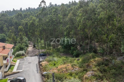 Terreno para Venda em Arnoso (Santa Maria e Santa Eulália) e Sezures