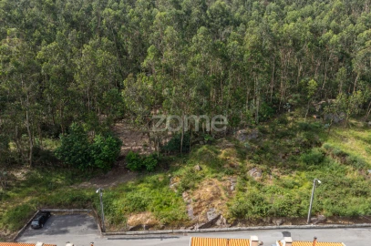 Terreno para Venda em Arnoso (Santa Maria e Santa Eulália) e Sezures