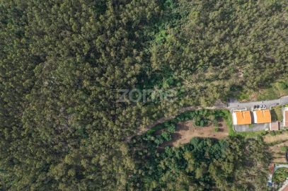 Terreno para Venda em Arnoso (Santa Maria e Santa Eulália) e Sezures