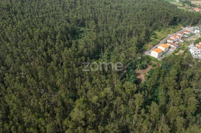 Terreno para Venda em Arnoso (Santa Maria e Santa Eulália) e Sezures