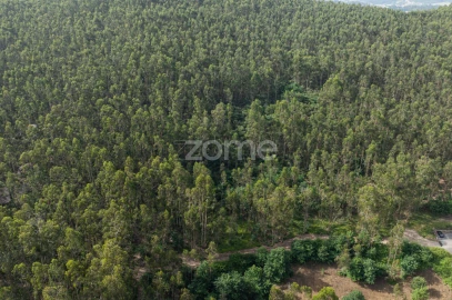 Terreno para Venda em Arnoso (Santa Maria e Santa Eulália) e Sezures