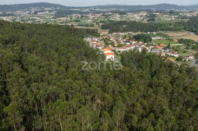 Terreno para Venda em Arnoso (Santa Maria e Santa Eulália) e Sezures