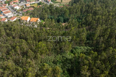 Terreno para Venda em Arnoso (Santa Maria e Santa Eulália) e Sezures