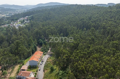 Terreno para Venda em Arnoso (Santa Maria e Santa Eulália) e Sezures