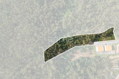 Terreno para Venda em Arnoso (Santa Maria e Santa Eulália) e Sezures