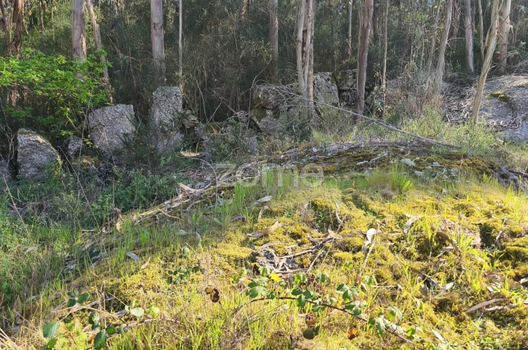 Terreno para Venda em Arnoso (Santa Maria e Santa Eulália) e Sezures Foto 8