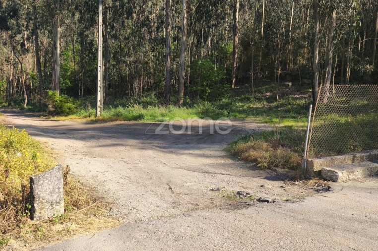 Terreno para Venda em Arnoso (Santa Maria e Santa Eulália) e Sezures Foto 14
