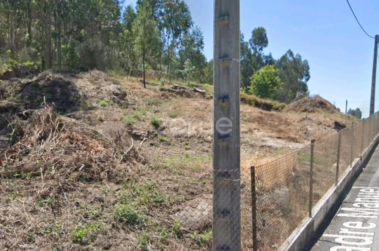 Terreno para Venda em Arnoso (Santa Maria e Santa Eulália) e Sezures Foto 2