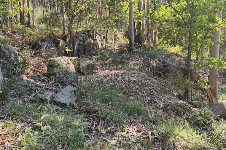 Terreno para Venda em Arnoso (Santa Maria e Santa Eulália) e Sezures Foto 15
