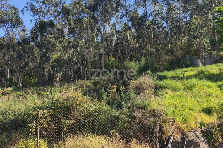 Terreno para Venda em Arnoso (Santa Maria e Santa Eulália) e Sezures Foto 17