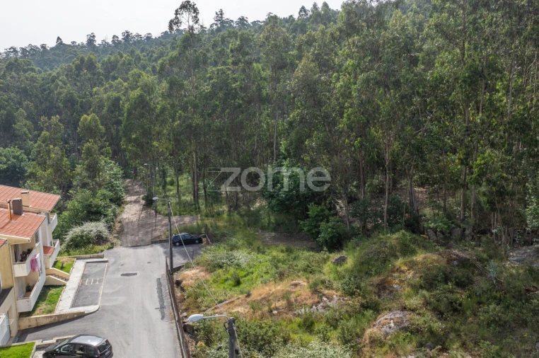 Terreno para Venda em Arnoso (Santa Maria e Santa Eulália) e Sezures Foto 10