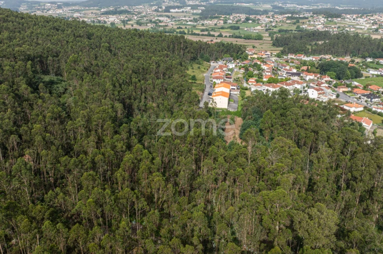 Terreno para Venda em Arnoso (Santa Maria e Santa Eulália) e Sezures Foto 18