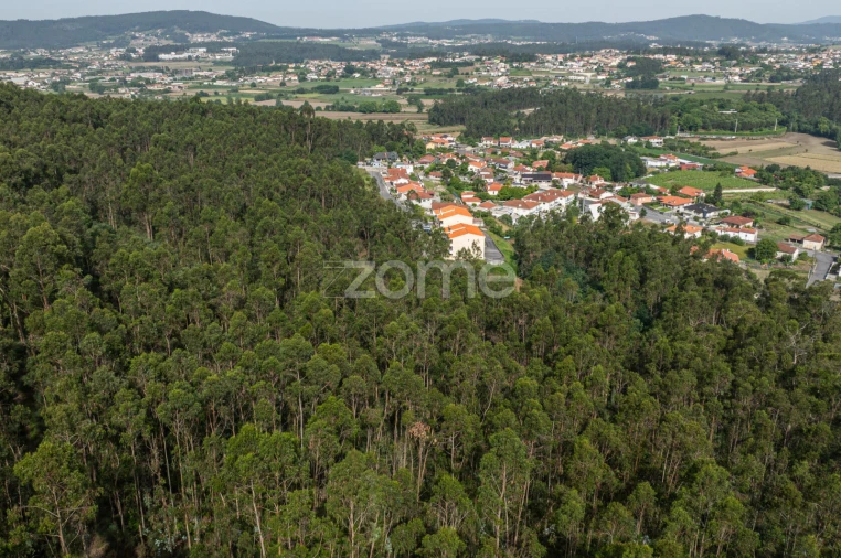 Terreno para Venda em Arnoso (Santa Maria e Santa Eulália) e Sezures Foto 19