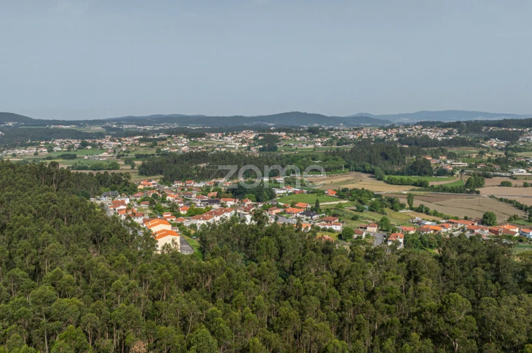 Terreno para Venda em Arnoso (Santa Maria e Santa Eulália) e Sezures Foto 20
