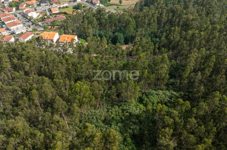Terreno para Venda em Arnoso (Santa Maria e Santa Eulália) e Sezures Foto 21