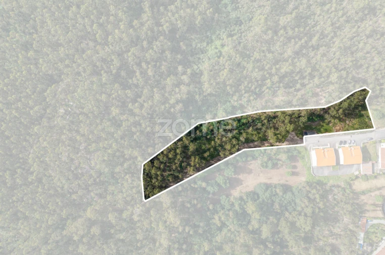 Terreno para Venda em Arnoso (Santa Maria e Santa Eulália) e Sezures Foto 11