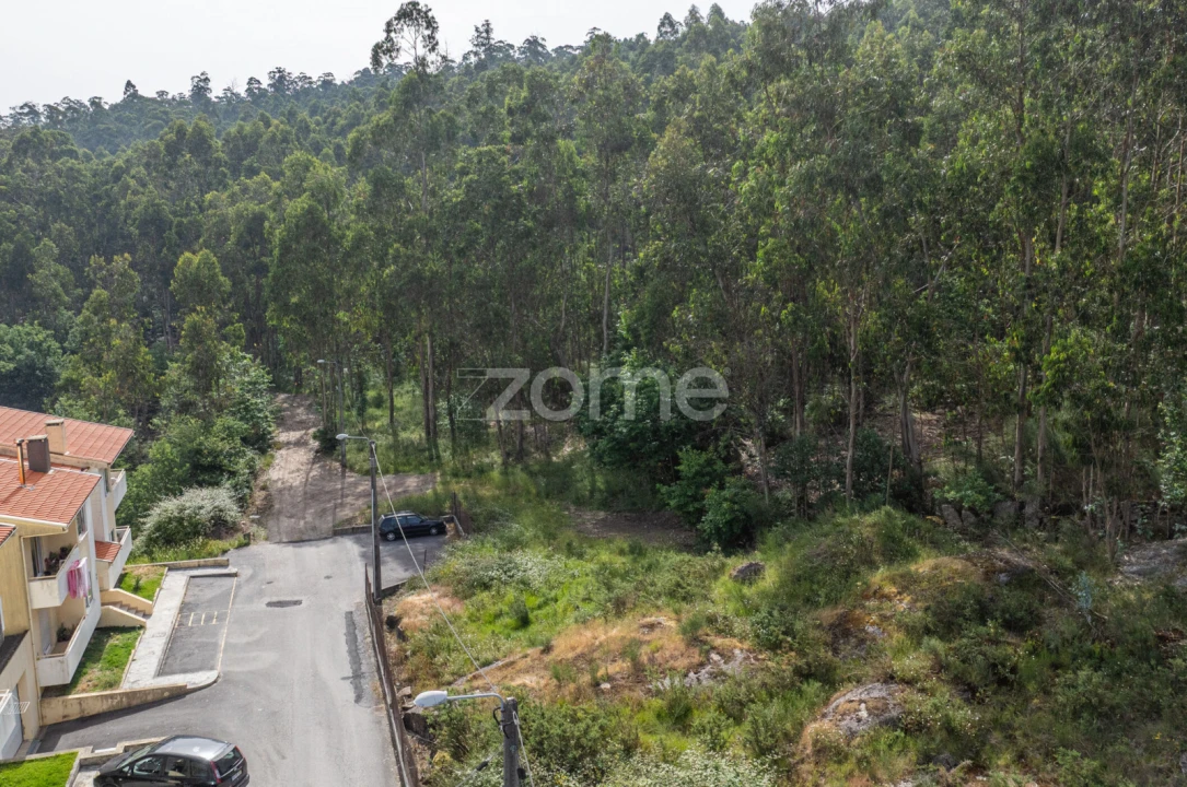 Terreno para Venda em Arnoso (Santa Maria e Santa Eulália) e Sezures Foto 10
