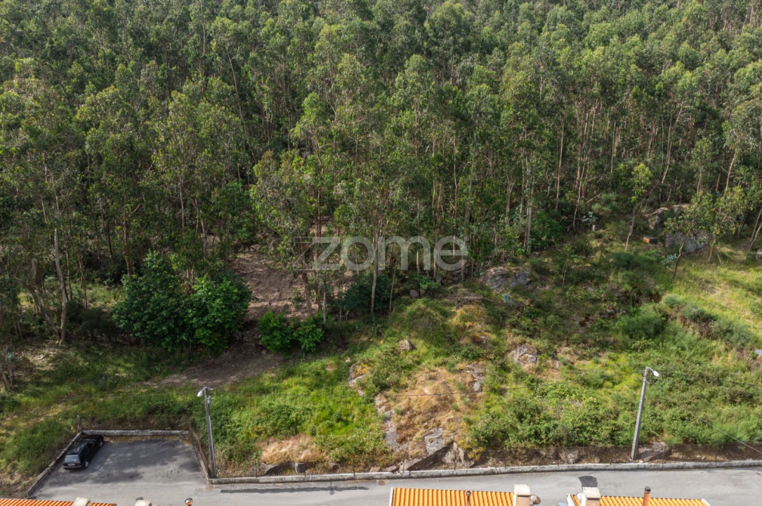 Terreno para Venda em Arnoso (Santa Maria e Santa Eulália) e Sezures Foto 12