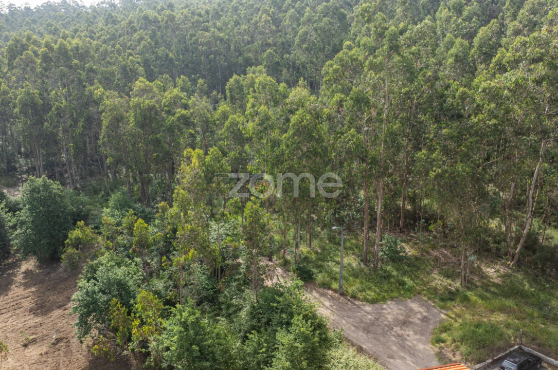 Terreno para Venda em Arnoso (Santa Maria e Santa Eulália) e Sezures Foto 13