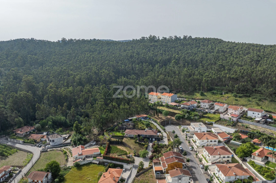 Terreno para Venda em Arnoso (Santa Maria e Santa Eulália) e Sezures Foto 14