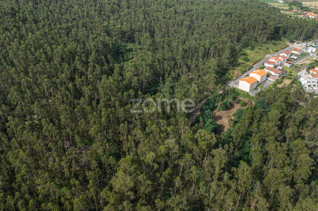 Terreno para Venda em Arnoso (Santa Maria e Santa Eulália) e Sezures Foto 16