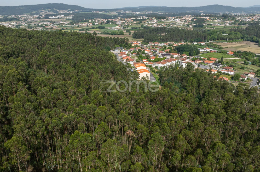 Terreno para Venda em Arnoso (Santa Maria e Santa Eulália) e Sezures Foto 19