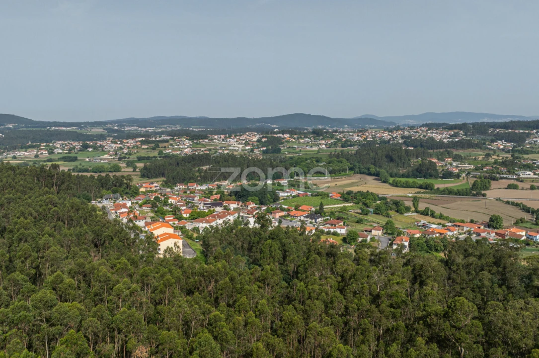 Terreno para Venda em Arnoso (Santa Maria e Santa Eulália) e Sezures Foto 20